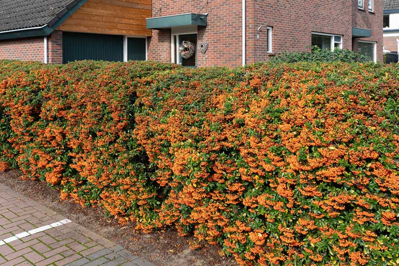 GroenLeusden_KleinTuingeluk nieuwe website Groen Leusden