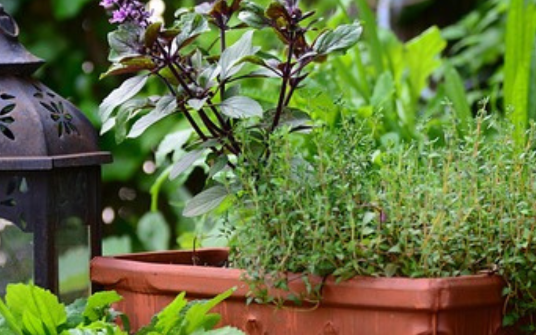 Het hele jaar rond een groen balkon