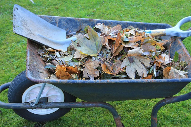 Plant je mee: Bladcompost maken